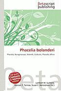 Phacelia bolanderi