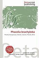 Phacelia brachyloba