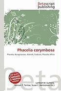 Phacelia corymbosa