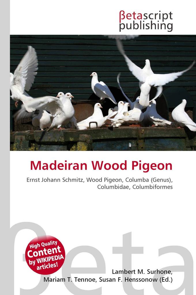 Madeiran Wood Pigeon