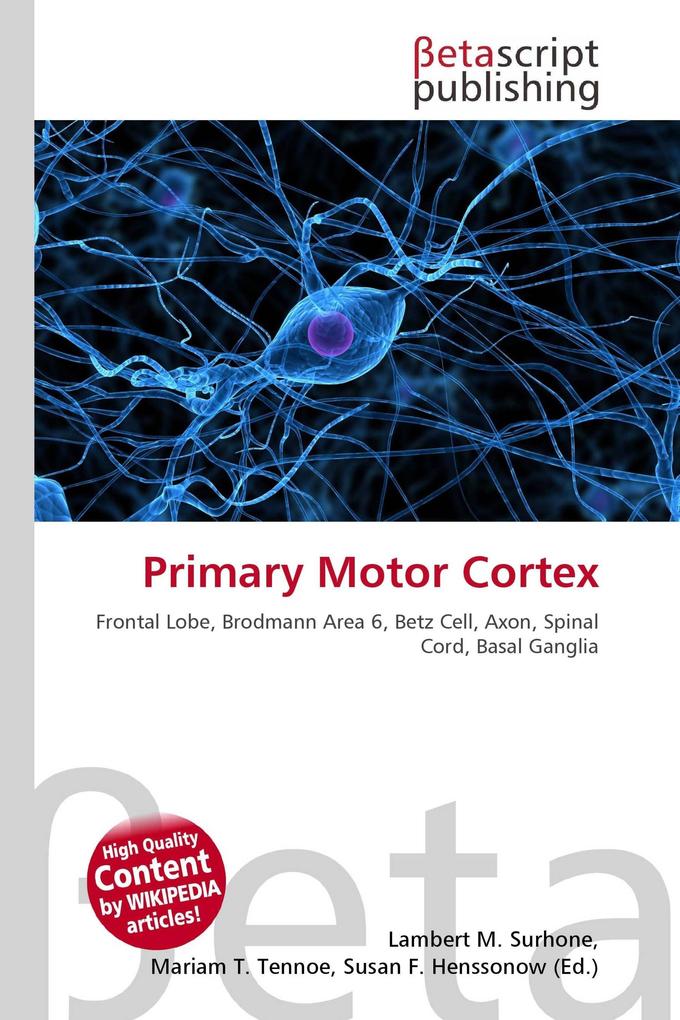 Primary Motor Cortex