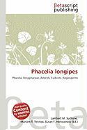Phacelia longipes