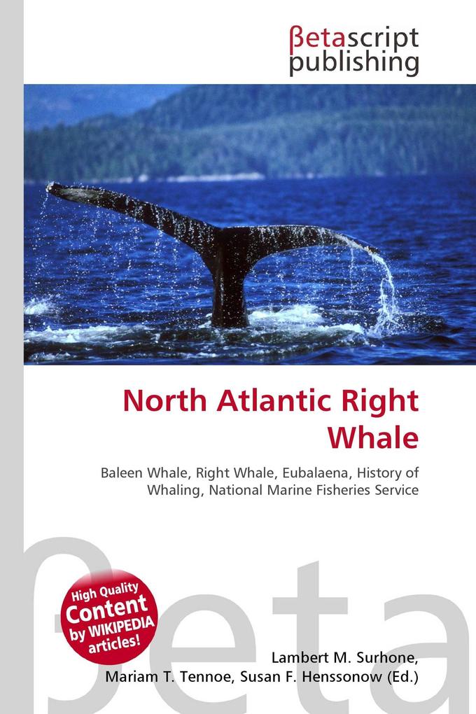 North Atlantic Right Whale