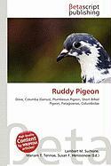 Ruddy Pigeon