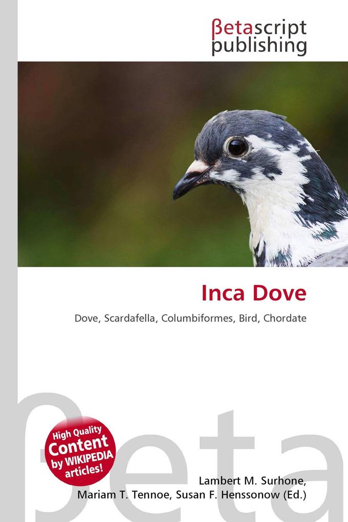 Inca Dove