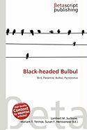 Black-headed Bulbul
