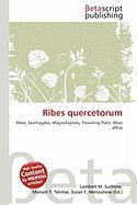 Ribes quercetorum