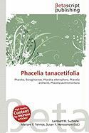 Phacelia tanacetifolia