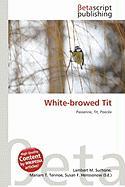 White-browed Tit