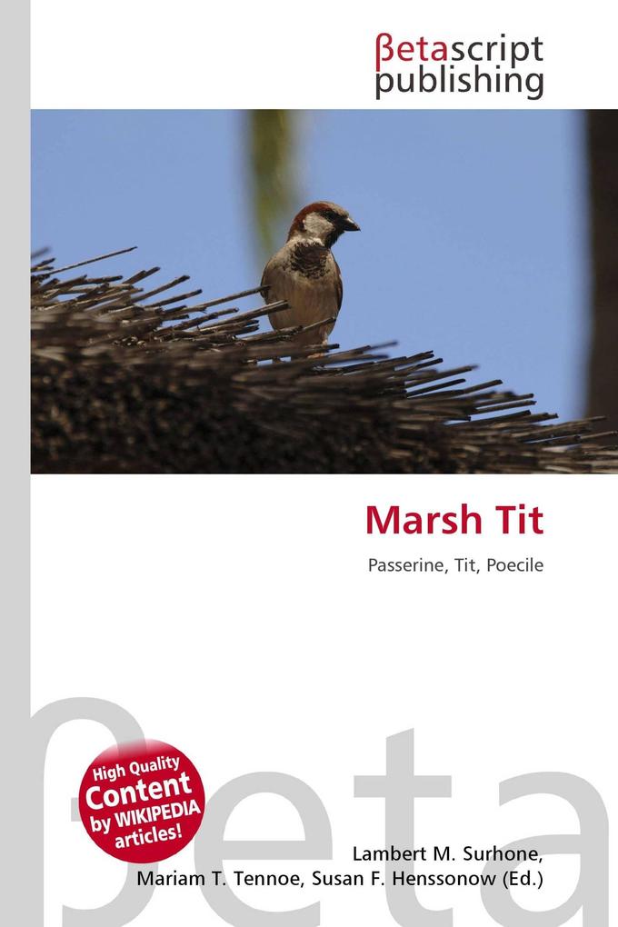 Marsh Tit