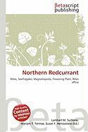 Northern Redcurrant