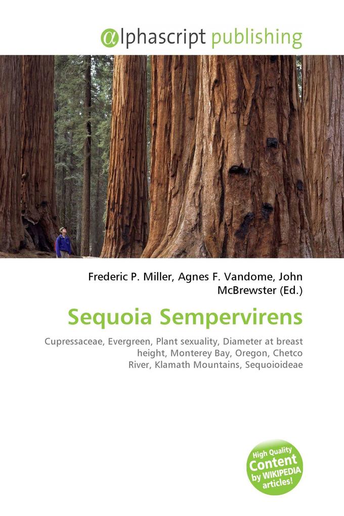 Sequoia Sempervirens