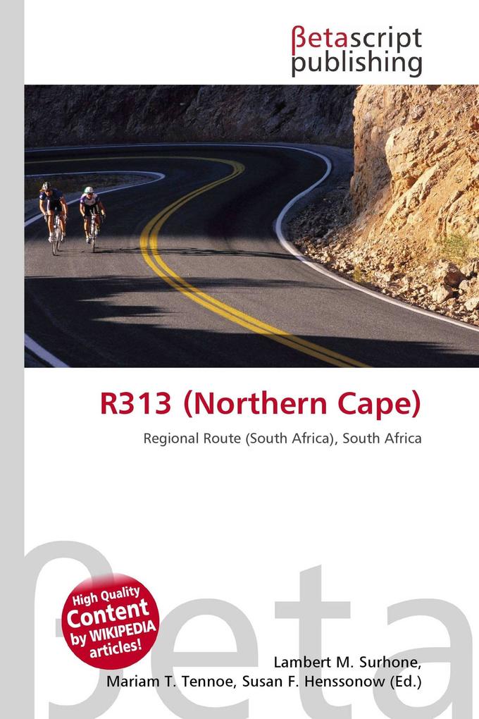 R313 (Northern Cape)