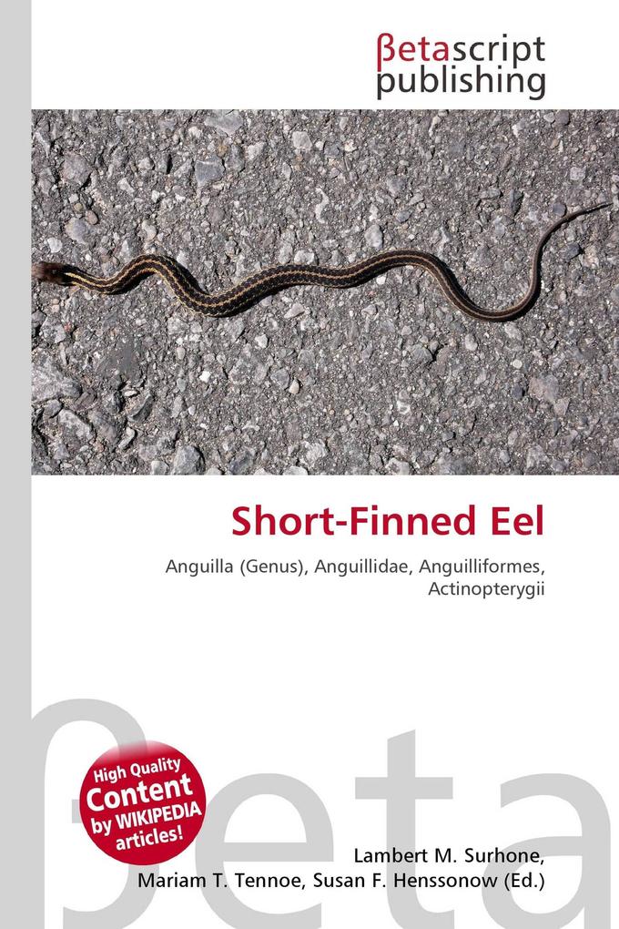 Short-Finned Eel