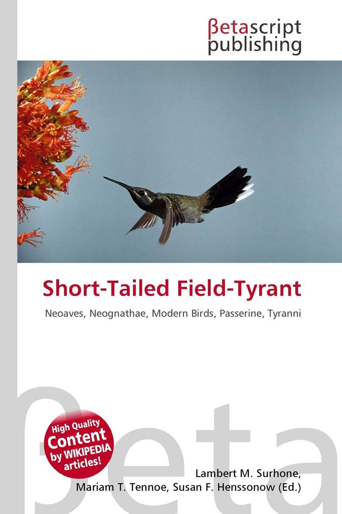 Short-Tailed Field-Tyrant