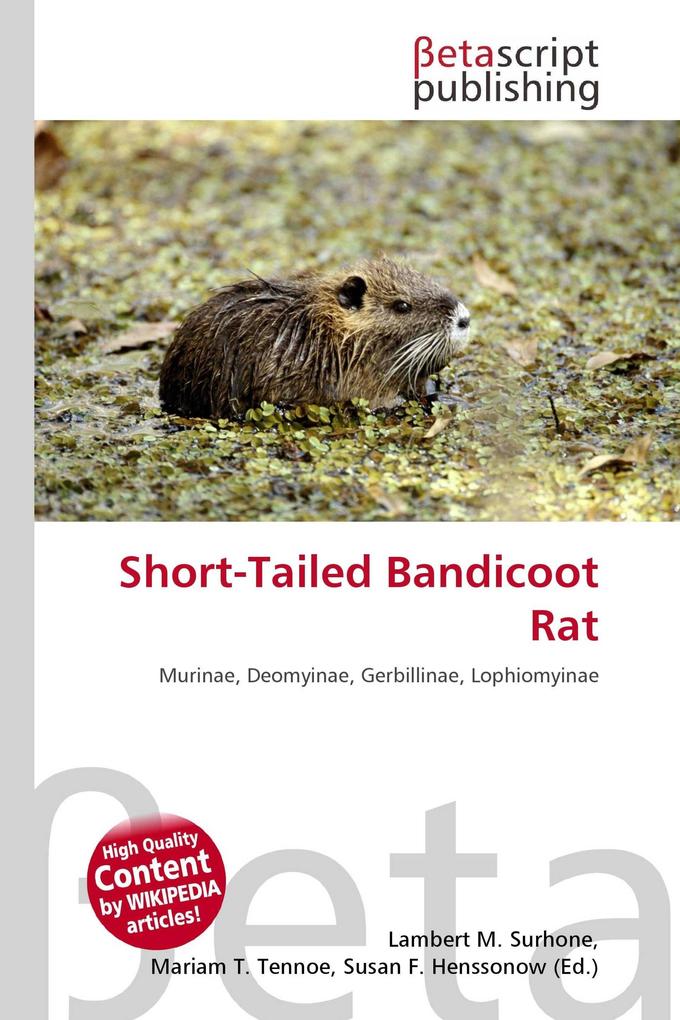 Short-Tailed Bandicoot Rat