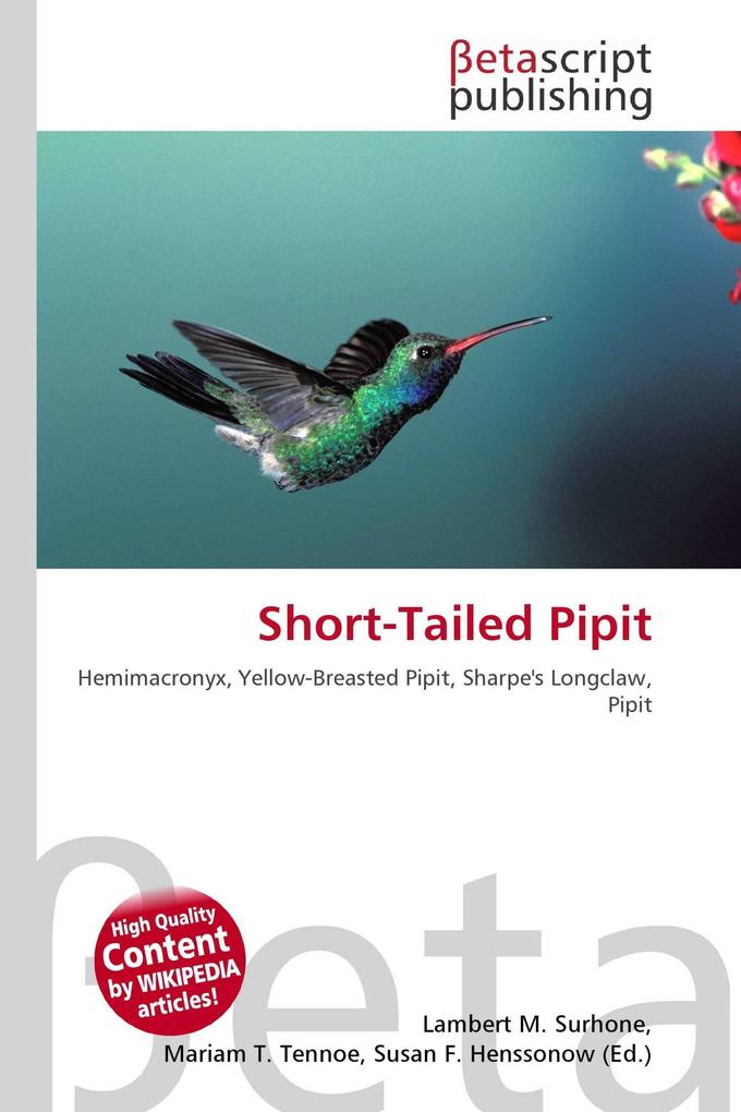 Short-Tailed Pipit