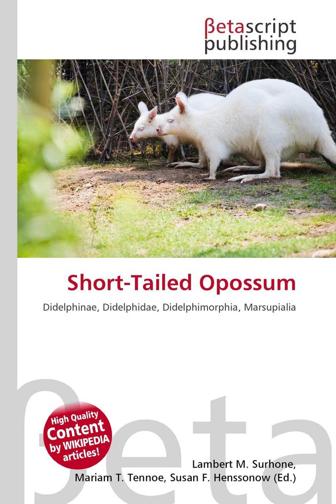 Short-Tailed Opossum