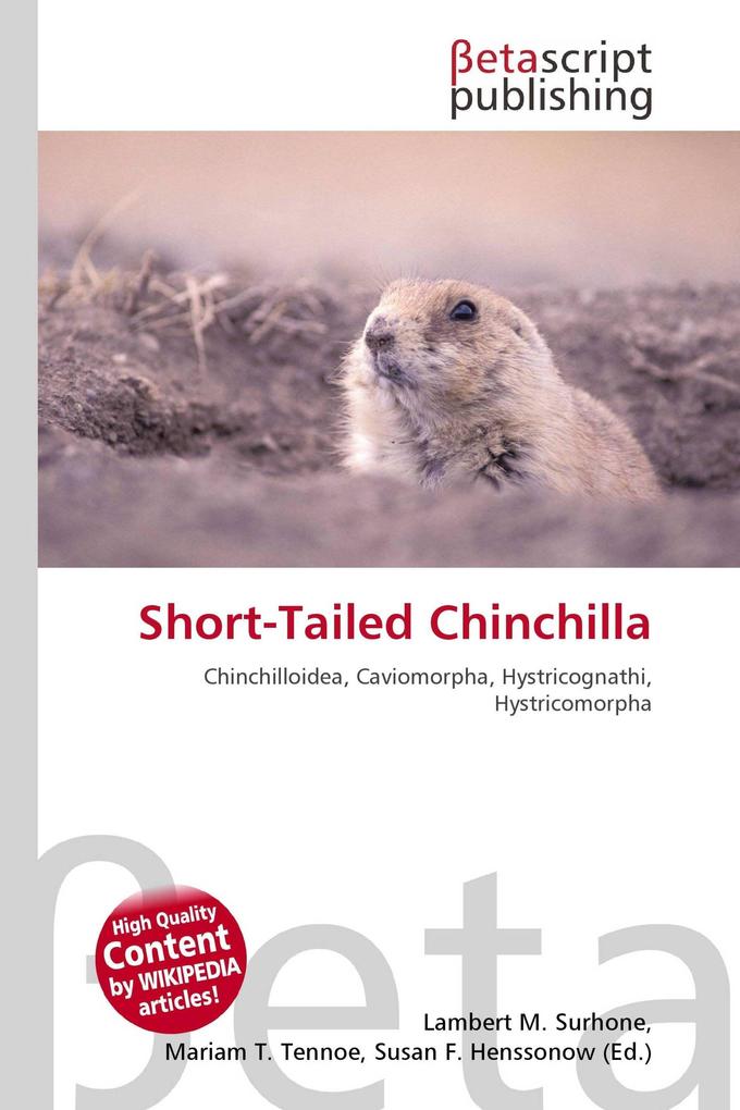 Short-Tailed Chinchilla