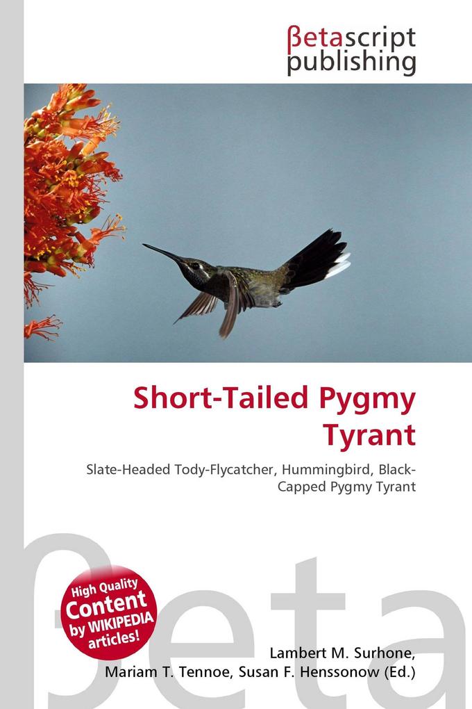 Short-Tailed Pygmy Tyrant