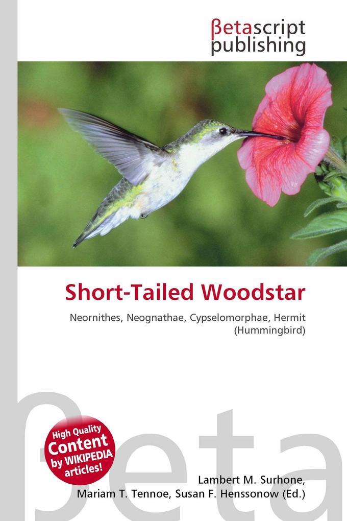 Short-Tailed Woodstar