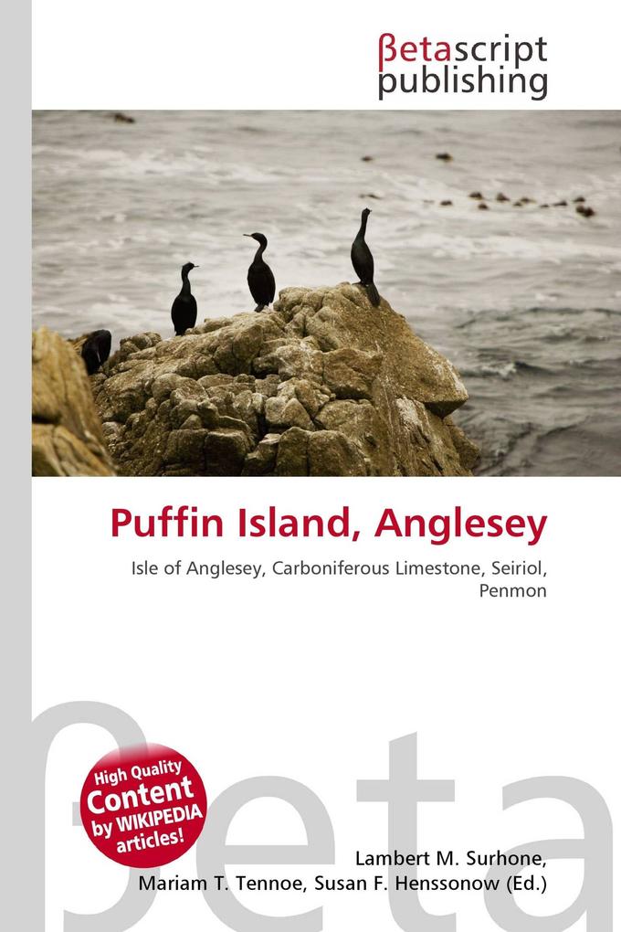 Puffin Island Anglesey