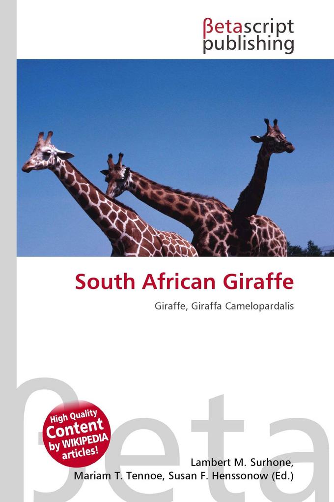South African Giraffe