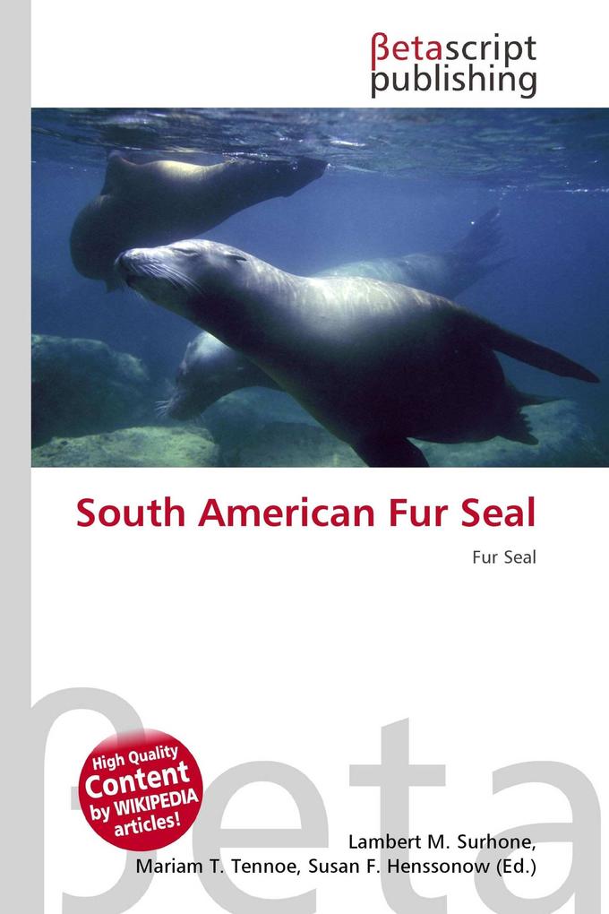 South American Fur Seal