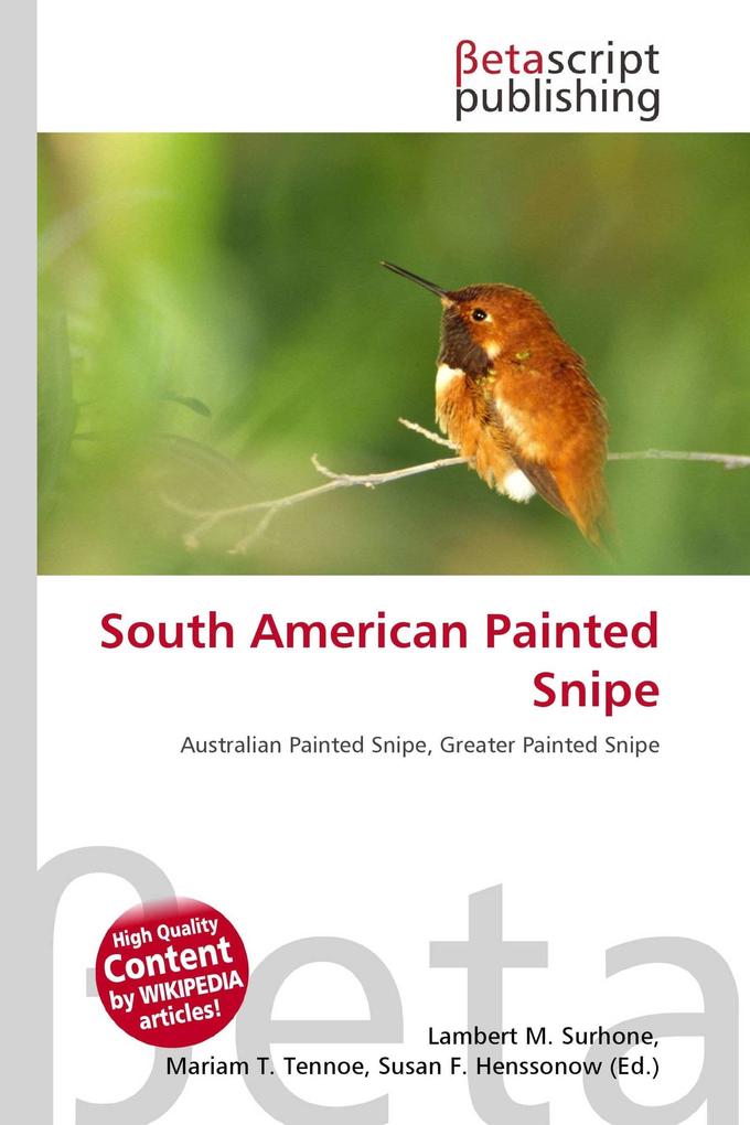 South American Painted Snipe