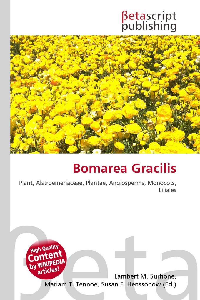 Bomarea Gracilis
