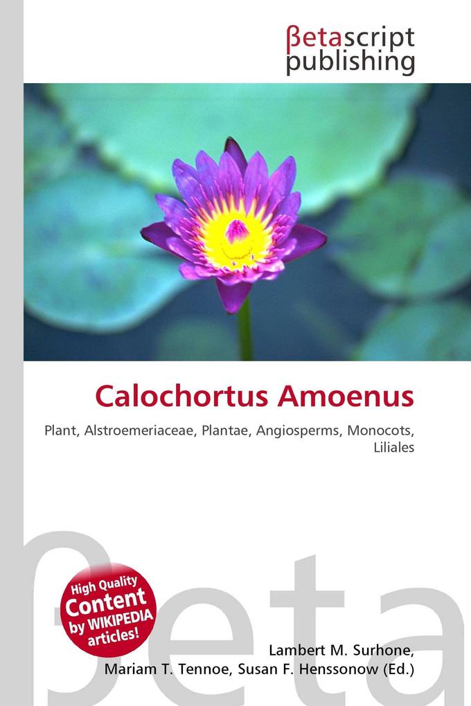 Calochortus Amoenus