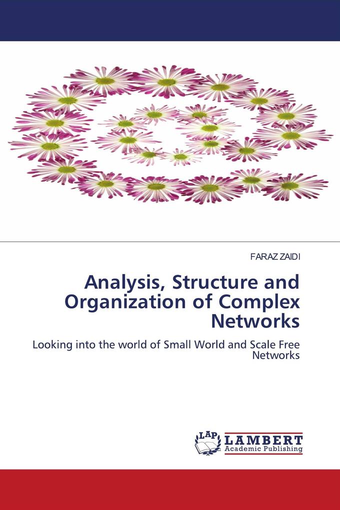 Analysis Structure and Organization of Complex Networks