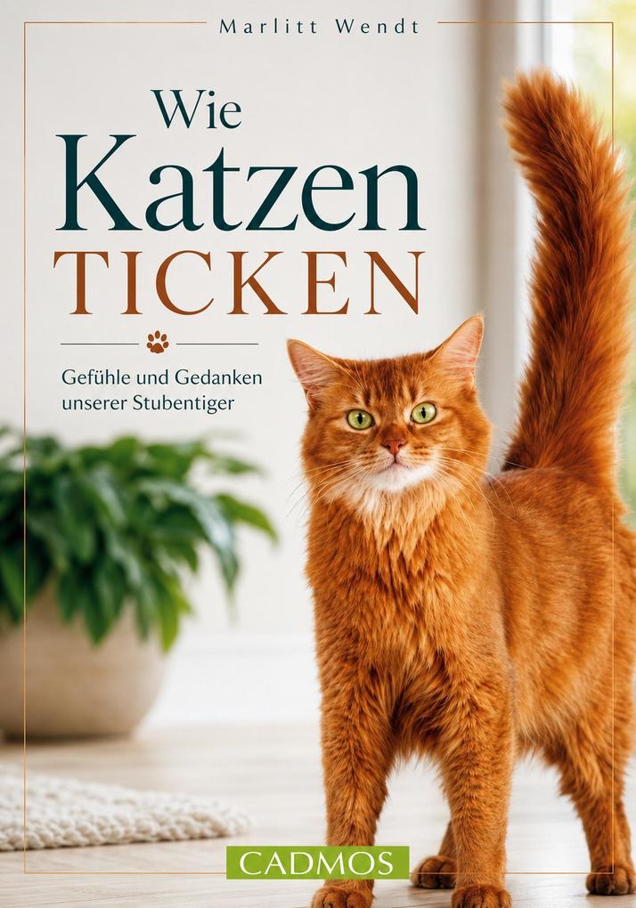 Wie Katzen ticken