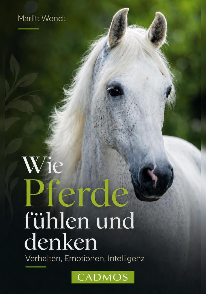 Wie Pferde fühlen und denken