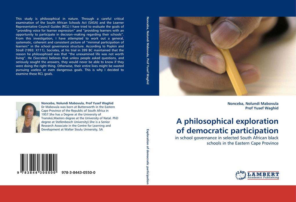 A philosophical exploration of democratic participation