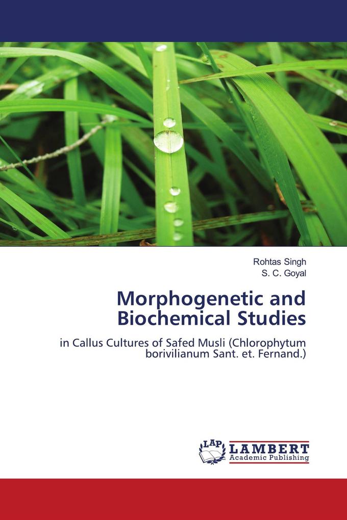 Morphogenetic and Biochemical Studies