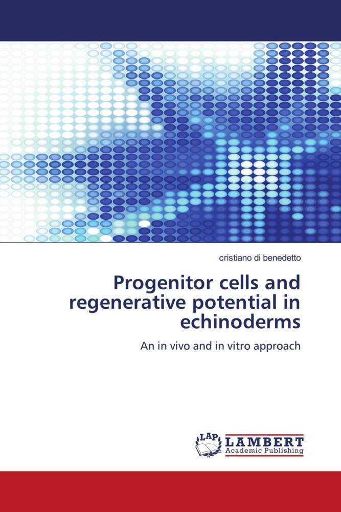 Progenitor cells and regenerative potential in echinoderms