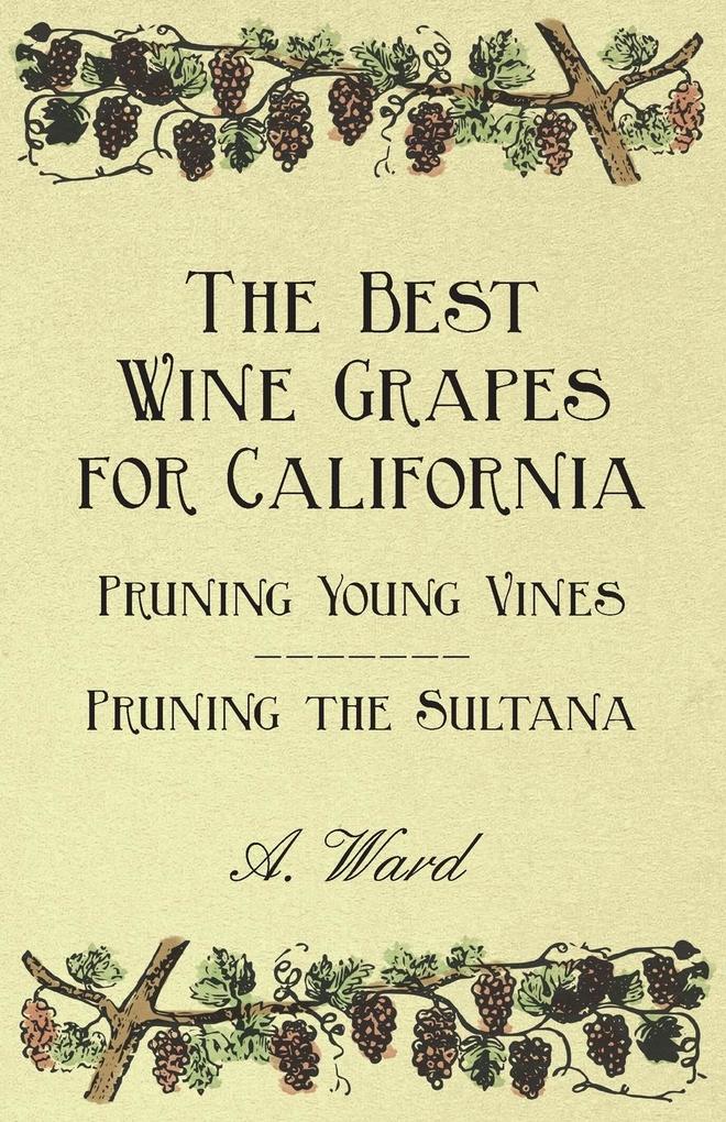 The Best Wine Grapes for California - Pruning Young Vines - Pruning the Sultana - Frederic T. Bioletti