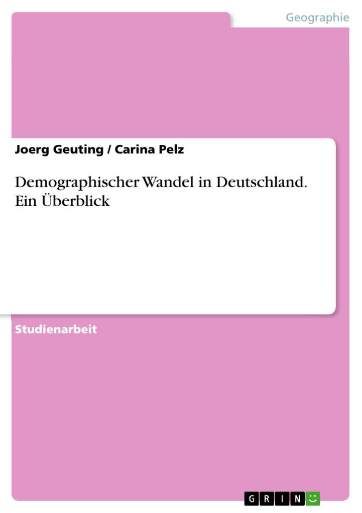 Demographischer Wandel in Deutschland. Ein Überblick - Joerg Geuting/ Carina Pelz