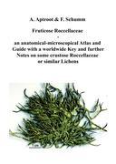 Fruticose Roccellaceae - Andre Aptroot/ Felix Schumm