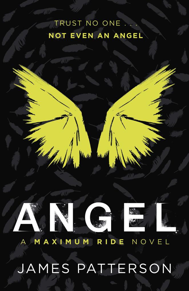Angel: A Maximum Ride Novel