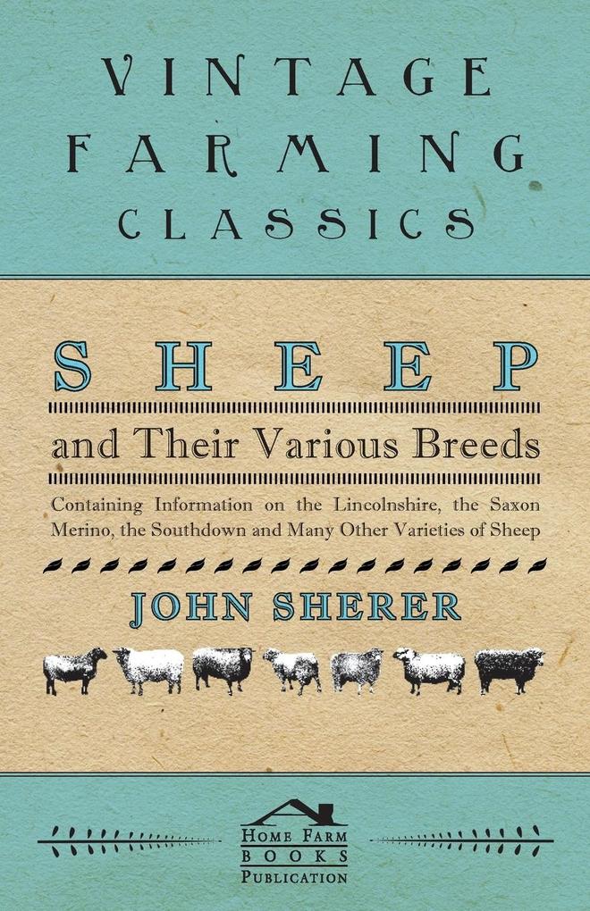 Sheep and Their Various Breeds - Containing Information on the Lincolnshire the Saxon Merino the Southdown and Many Other Varieties of Sheep