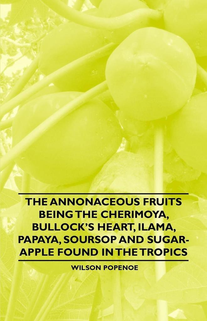 The Annonaceous Fruits Being the Cherimoya Bullock‘s Heart Ilama Papaya Soursop and Sugar-Apple Found in the Tropics