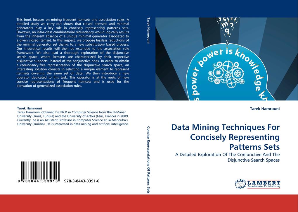Data Mining Techniques For Concisely Representing Patterns Sets