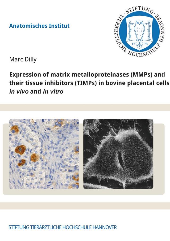 Expression of matrix metalloproteinases (MMPs) and their tissue inhibitors (TIMPs) in bovine placental cells in vivo and in vitro