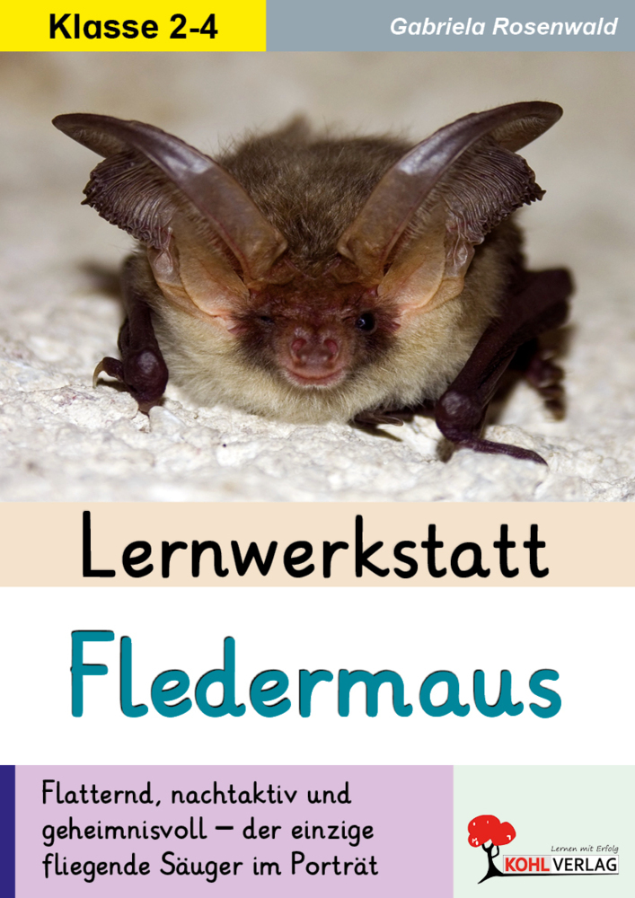 Lernwerkstatt Die Fledermaus
