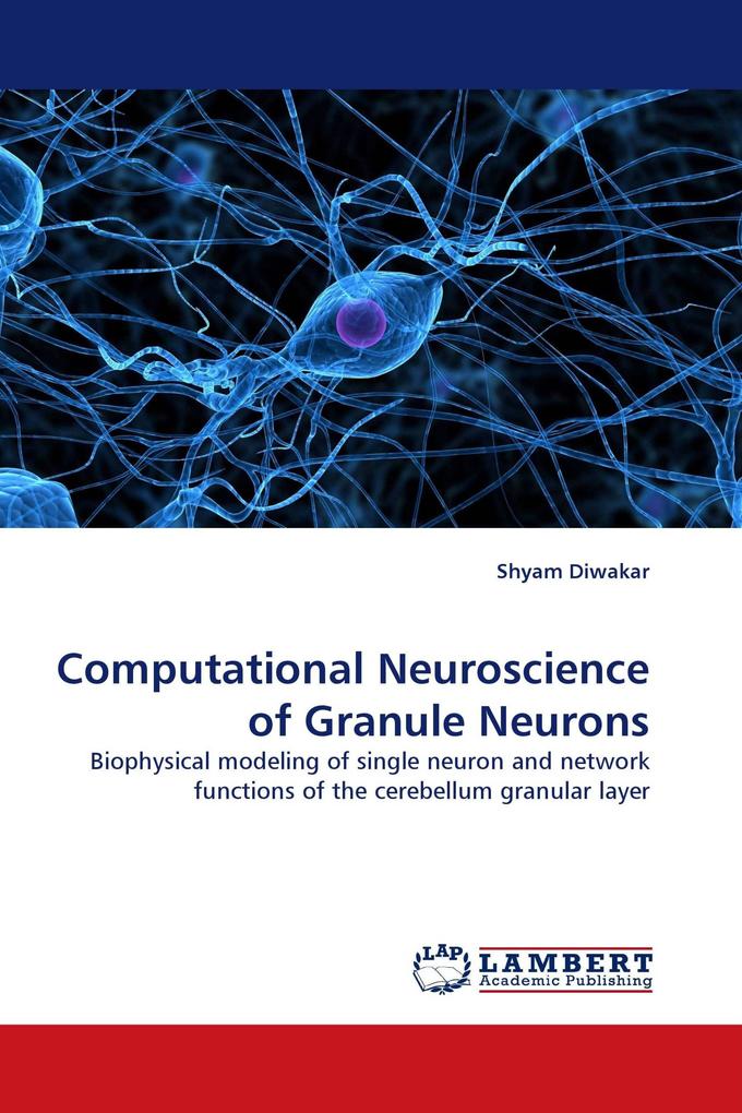 Computational Neuroscience of Granule Neurons