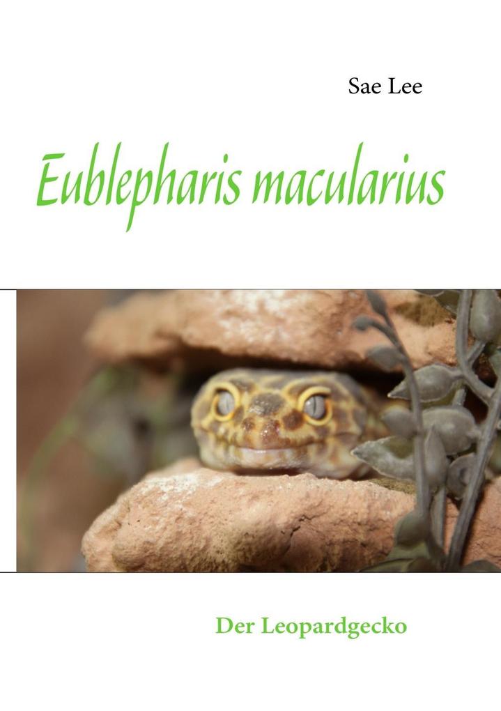 Eublepharis macularius als eBook Download von Sae Lee - Sae Lee