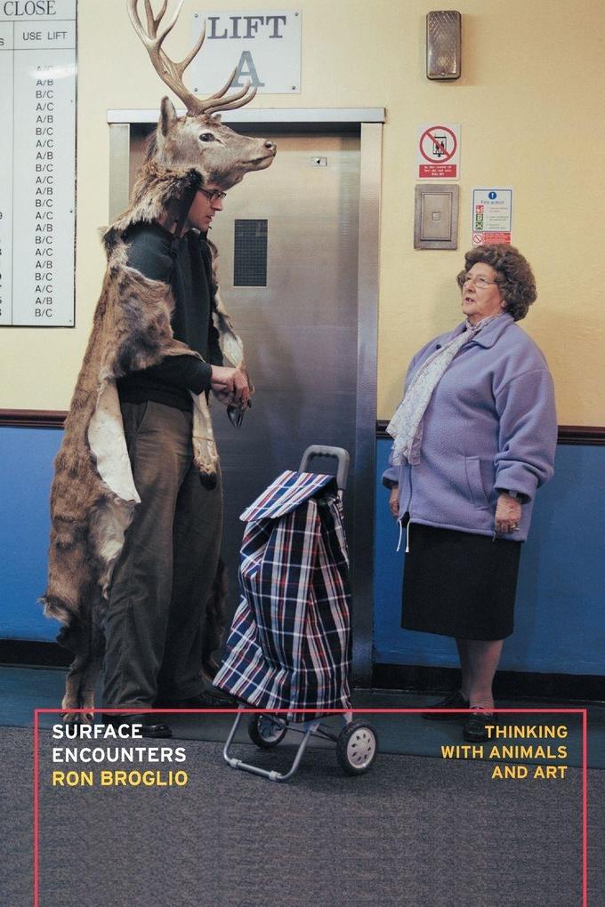 Surface Encounters