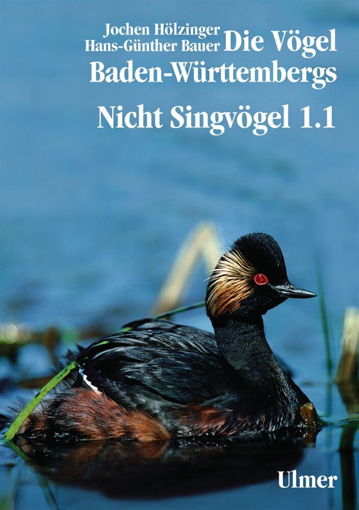 Die Vögel Baden-Württembergs Band 2.0 - Nicht-Singvögel1.1 Nandus bis Flamingos